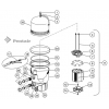 Tige inox PENTAIR FNS Plus 24